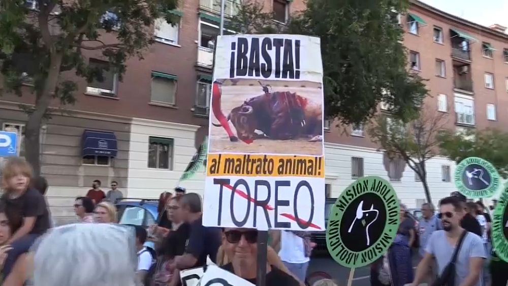 VIDEO : Protests against bullfighting in Madrid