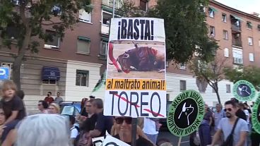 Protests against bullfighting in Madrid