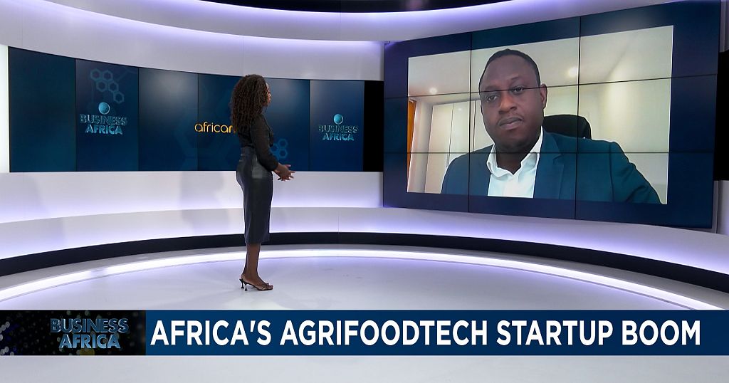 Boom in agrifood-technology start-ups in Africa [Business Africa] 