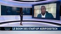 Le boom des start-up agrifoodtech [Business Africa]