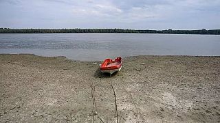 Ein Boot am Donau-Ufer nahe Belgrad während des vergangenen Sommers