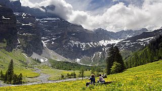 Vallon de Nant Doğa Koruma Alanı, İsviçre