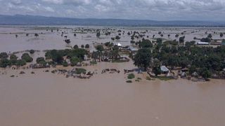 Niégria : les inondations ravagent les terres agricoles