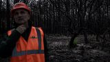Un employé de l'Office national des forêts devant des arbres brûlés à proximité de La Teste-de-Buch au sud ouest de la France - 27.09.2022