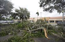 Egy bevásárlóközpont parkolójára zuhant pálmafaág Floridában