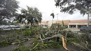 Tree limbs and palm fronds, knocked down from wind produced by the outer bands of Hurricane Ian, litter a parking lot of a shopping center.