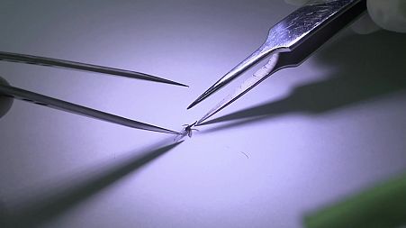 UK researchers say they have successfully manipulated the DNA of mosquitoes to stop them from transmitting malaria.