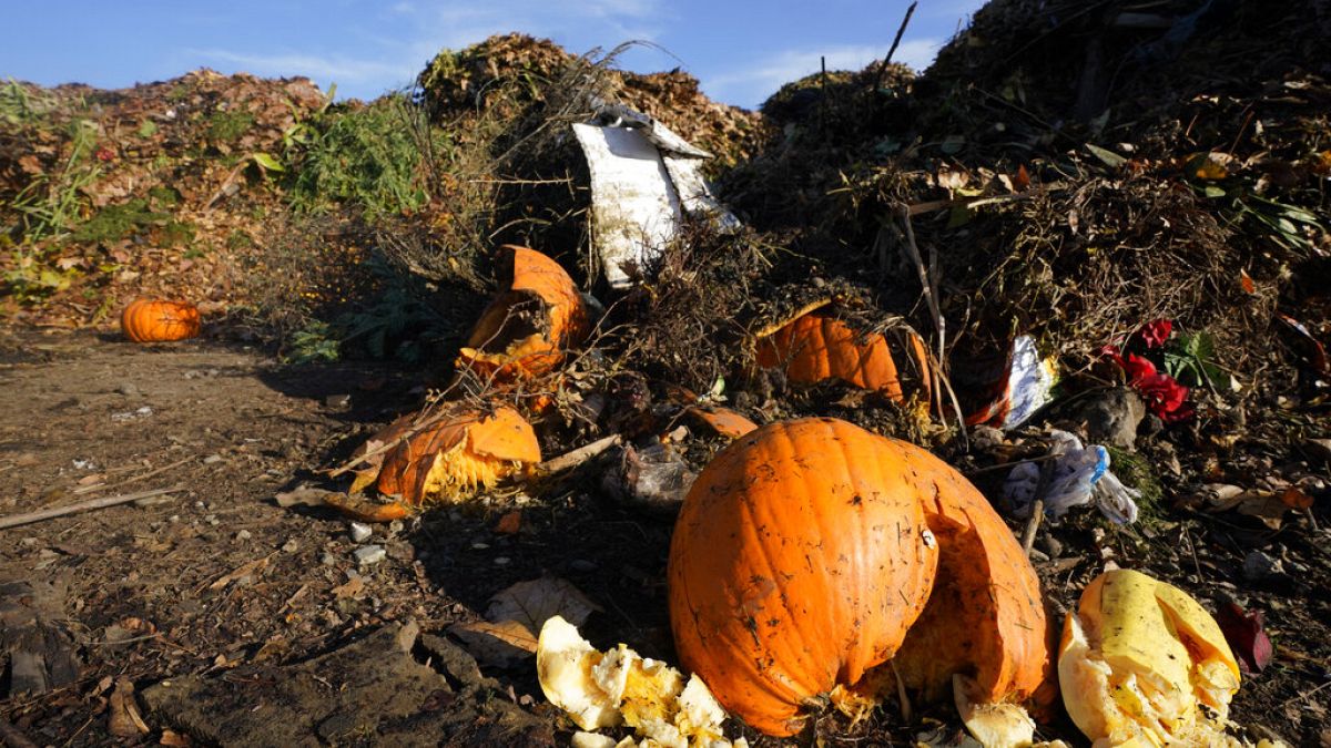 Pumpkins, along with garden waste and other organic waste, await composting.
