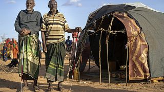 Somalie : des milliers de personnes déplacées par la sécheresse