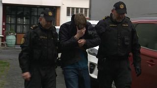 Задержание одного из подозреваемых в подготовке терактов в Исландии