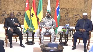 ECOWAS mediation in Mali over fate of detained Ivorian soldiers
