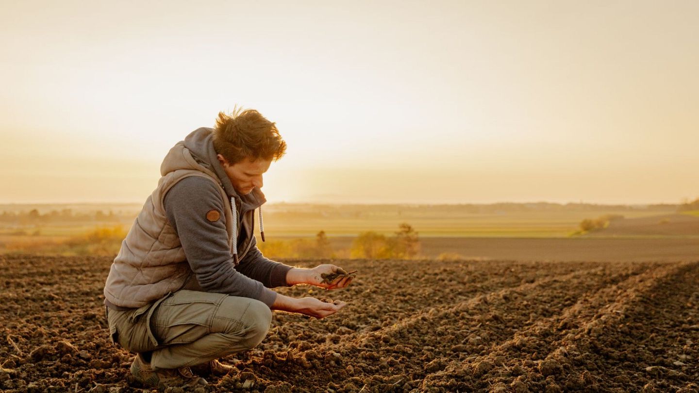 Soil batteries': Solar power could one day be stored in the ...
