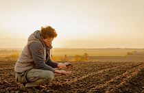Can solar energy be stored in soil? The UK government is hedging on it.