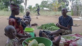  Mozambique : Mocimboa panse ses plaies de l'ère jihadiste