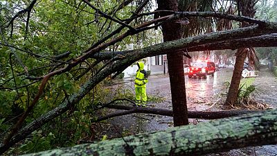 Feuerwehrmann vor umgestürztem Baum in Charleston, S.C.