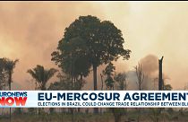 Burning farmland, Novo Progresso, Para, Brasil. August 2020