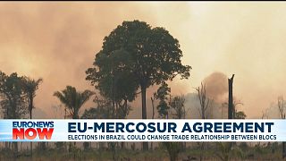 Burning farmland, Novo Progresso, Para, Brasil. August 2020