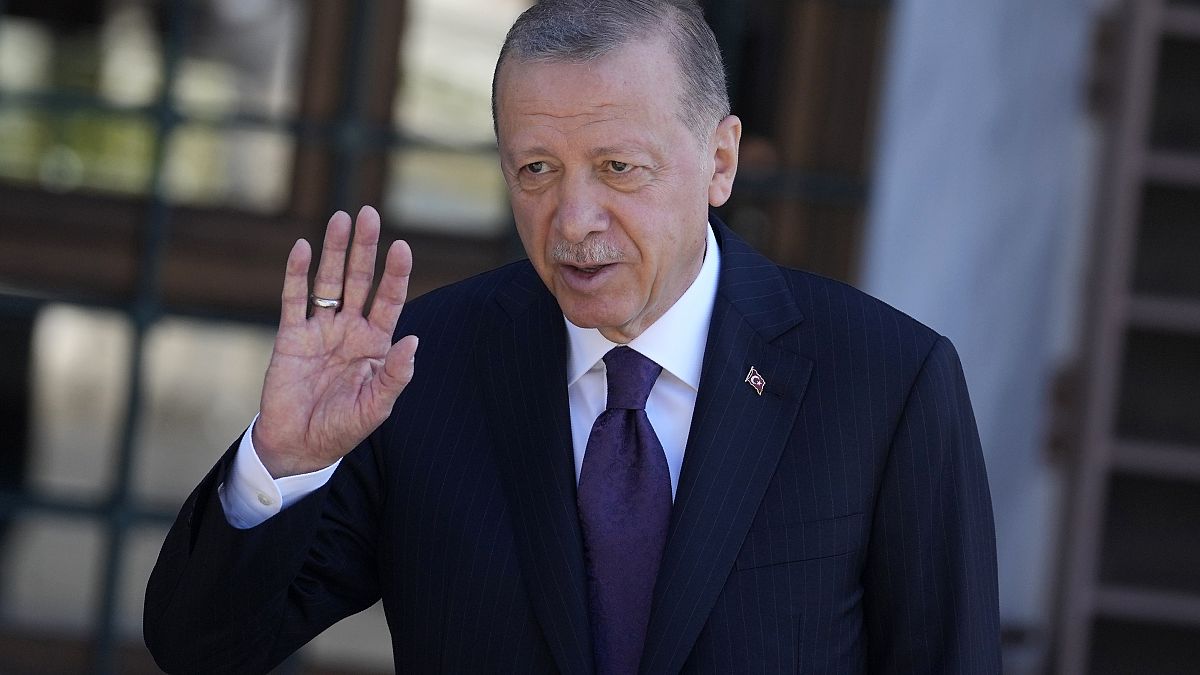 الرئيس التركي رجب طيب إردوغان - أرشيف