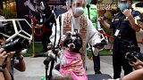 Filipinler'de hayvanları kutsama töreni