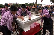 Ceremonial grape harvest of the oldest vine in the world starts in Maribor