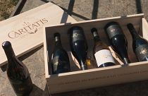 Una caja de vinos de "Vía Caritatis"