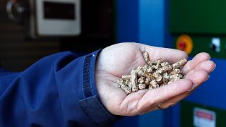 A person shows hardwood pellets used in a wood burning boiler
