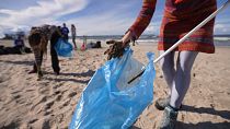 Együtt tisztítja tengerpartijait Litvánia és Lettország