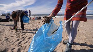 Латвия и Литва сообщают очистят берег от пластика0