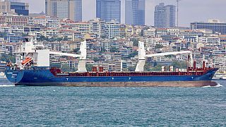 Laodicea isimli kuru yük gemisi Lübnan'a yanaştığında Ukraynalı diplomatlar geminin çalıntı tahıl taşıdığını söyleyerek Lübnanlı yetkililerden gemiye el koymalarını istemişti