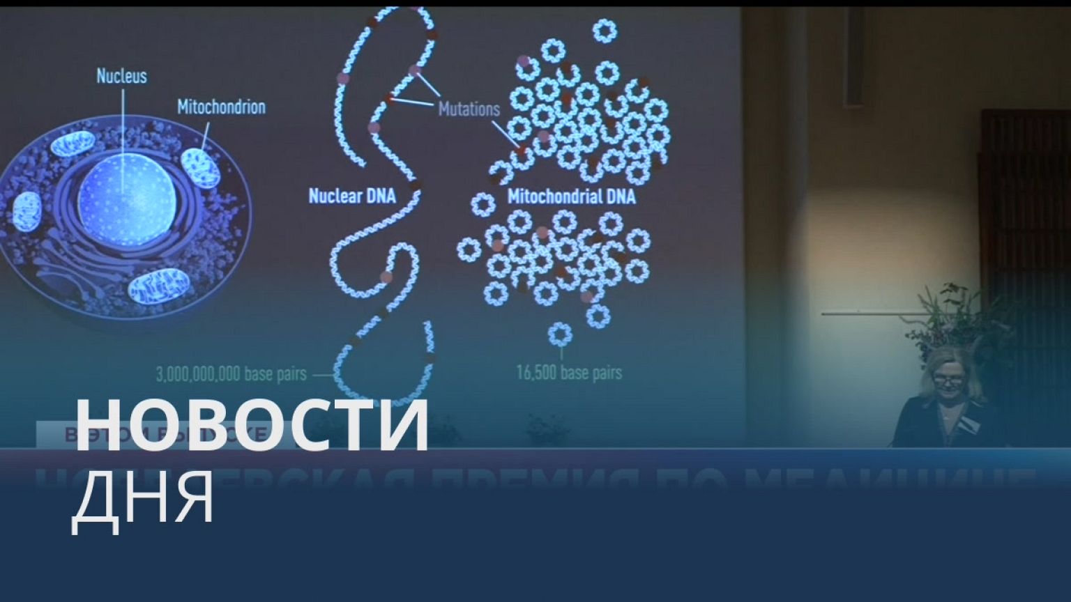 Новости дня | 3 октябрь — вечерний выпуск