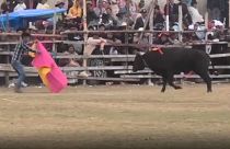 Un torero amateur fait face à un taureau, lors du festival de tauromachie de Huarina en Bolivie.