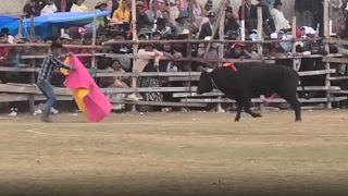Un torero amateur fait face à un taureau, lors du festival de tauromachie de Huarina en Bolivie.