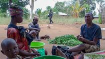 Mozambique : cinq ans après l'arrivée des shebabs