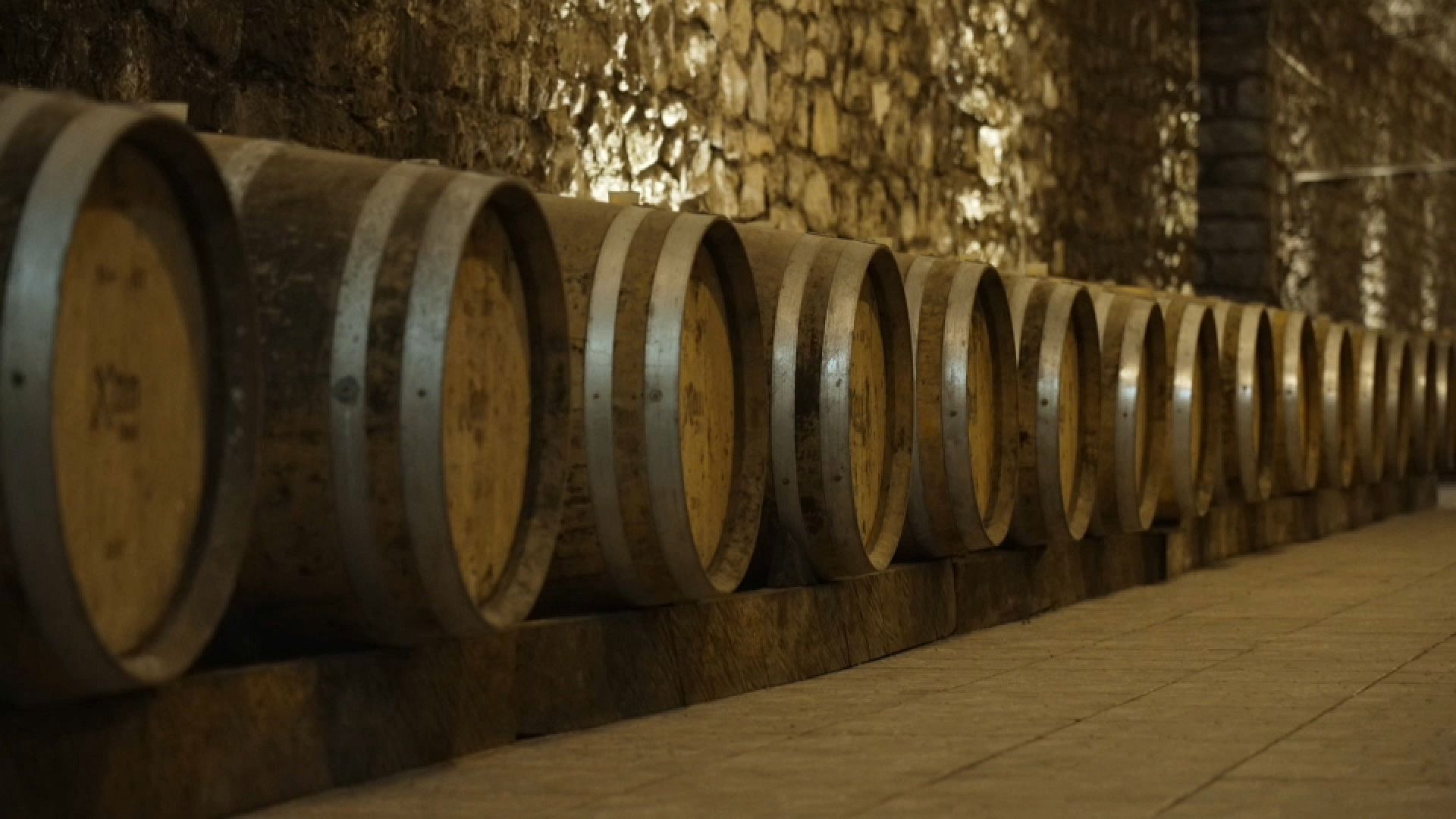 Exploring the rich tradition of winemaking in Azerbaijan Euronews