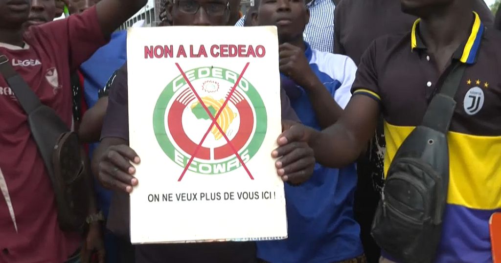 Burkina Faso coup supporters protest ECOWAS fact-finding mission