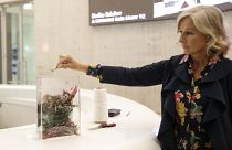 Акция в Национальном музее искусств XXI века в Риме