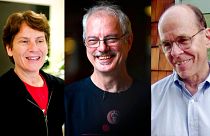 L'Américaine Carolyn R. Bertozzi, le Danois Morten Meldal et l'Américain K. Barry Sharpless remportent le prix Nobel de chimie 2022