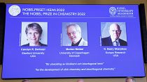 Bertozzi, Meldal és Sharpless kapja idén a kémiai Nobel-díjat