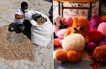 Code Effort has recycled over 300 million cigarette butts from India's streets so far.