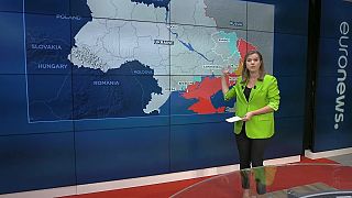 Sasha Vakulina, euronews-Redakteurin