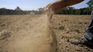 مزارع ينثر حفنة من تراب أرضه التي ضربها الجفاف في رود آيلند في الولايات المتحدة