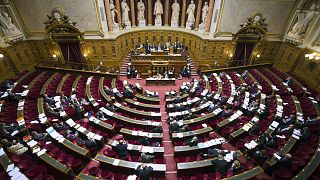 عکس آرشیوی از مجلس سنای فرانسه