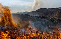 A forest burns during a wildfire near Altura, eastern Spain, on Friday, Aug. 19, 2022.
