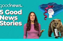 Five Good News Stories