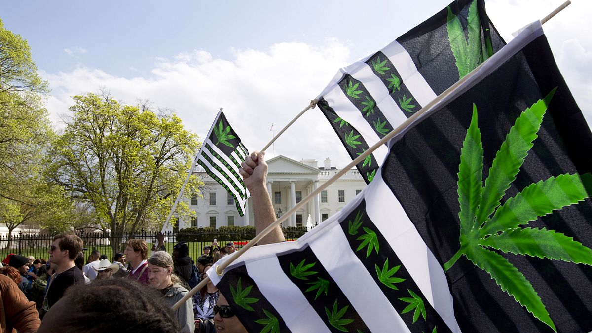 A demonstrator waves a flag with marijuana leaves depicted on it during a protest calling for the legalization of marijuana, outside of the White House