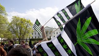 A demonstrator waves a flag with marijuana leaves depicted on it during a protest calling for the legalization of marijuana, outside of the White House