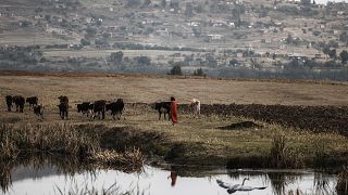 Lesotho : la population rurale rêve de changement