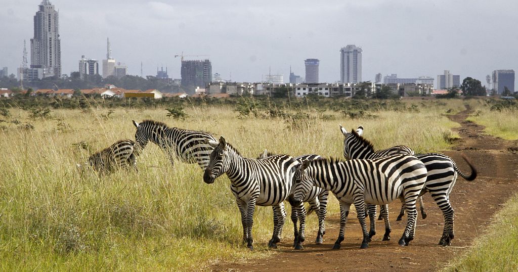 Mobile app enables Kenyans to become wildlife conservation actors ...