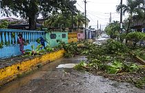 Kidőlt fák a Julia hurrikán után Nicaraguában