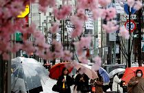 Japan fully reopens to foreign tourists this week after more than two years of COVID-19 border restrictions.